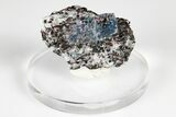 Blue Kyanite & Garnet in Biotite-Quartz Schist - Russia #178932-1